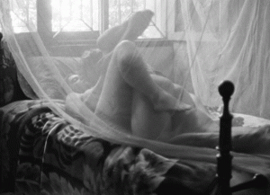 el paraiso perdido 5